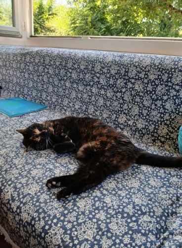 luna.jpg